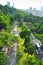 A long road with lush greenery, seen from a height