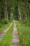 Long road made of concrete panels, Trebon