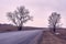 Long road. Trees on roadside