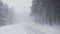 Long road at white winter landscape in the forest surrounded by high trees in  Grosser, Feldberg