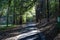 A long rough black footpath through the park covered with fallen autumn leaves surrounded by lush green trees, plants and grass