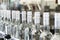 A long row of glass bottles on the conveyor.