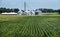 Long rows of corn in farm field, crop storage silos, red barn