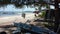 long sand beaches and natural scenery of buoys suspended from pine trees on beaches and mountains