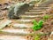 Long sandstone stairs in the forest, Kokorinsko, Czech Republic.