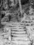 Long sandstone stairs in the forest, Mseno, Kokorinsko, Czech Republic.