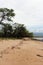 A long sandy beach with driftwood lying about next to windblown weeping trees at Ma`alaea Bay, Maui, Hawaii