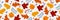 Long seamless autumn pattern with berries and leaves. Autumn seamless pattern. Charming autumn pattern. Hand drawn. Vector