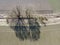 Long shadows from avenue deciduous trees at springtime in Bavaria