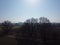 Long shadows from avenue deciduous trees at springtime in Bavaria