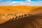 Long shadows of camel caravan, Erg Chebbi, Sahara desert, Merzouga, Morocco