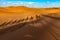 Long shadows of camel caravan, Erg Chebbi, Sahara desert, Merzouga, Morocco