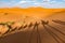 Long shadows of camel caravan, Erg Chebbi, Sahara desert, Merzouga, Morocco