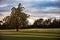 Long Shadows Streak Across Golf Course