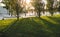 Long shadows from trees on green grass in park. Silhouettes of unrecognizable people.