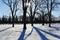 Long shadows with winter sun. Assiniboine Park, Winnipeg, Manitoba, Canada