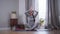 Long shot of brunette Caucasian woman sitting on yoga mat raising hands up and putting them together. Meditation of