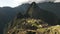 Long shot of llamas grazing at machu picchu