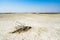 Long shot of salt flats in the small town of Margherita di Savoia in Apulia, Italy