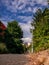 A long sidewalk lined with trees and lamps. On the horizon are large massive clouds. The overall view is perspective from the