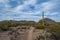 A long slender Saguaro Cactus in Saguaro National Park, Arizona