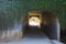 A long smooth footpath through a covered alleyway with a graffiti on the walls covered with lush green plants