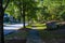 A long smooth sidewalk surrounded by lush green grass and lush green trees on a residential street in South Fulton