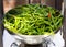 Long spicy green pepper in a silver bowl