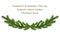 Long spruce garland. Large Christmas garland of green spruce branches. Panorama.Isolated on a white background without shadow