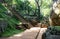 Long Staircase in Sigiriya Park