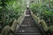 Long stairs with nobody in the middle of the jungle, temple stairs in the forest