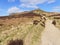 Long steep footpath to Higger Tor across Hathersage Moor on a spring morning