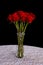 Long stem rose\'s in a vase