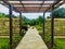 A long stone slab walkway leads to the canter of the garden.