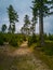 Long stony pathway in Owl Mountains