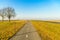 Long straight bike path in a Dutch polder landscape