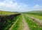 Long straight country lane with dry stone walls surrounded by green pasture with wildflowers in beautiful early summer sunlight