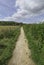 Long straight country path on a summers day leading to the woods in East Anglia in England