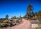 Long straight dirt desert road disappears into the horizon in Gran Canaria Spain