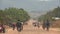 Long straight dirt road in open African landscape