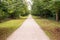 Long straight dirt road of white soil in the middle of forest