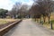 A long straight footpath in the park with bare winter trees, park benches and yellow and green grass along the path with blue sky