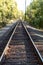 Long straight train tracks through the woods with a blurry background