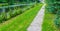 Long straight walking road next to the lake water landscape