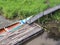 Long tail boat is floating near the wooden pontoon