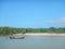 Long tail boat passing mangrove forest