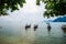 Long tail boats, Tropical beach, Andaman Sea, Thailand