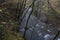 Long tail river inside the forest and mountains