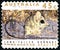 Long Tailed Dunnart Australian Postage Stamp