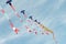 Long-tailed kites flying as a group connected to a single line in the blue clear sky